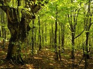 720 Bear Walk Way LOT 666, Gatlinburg, TN 37738