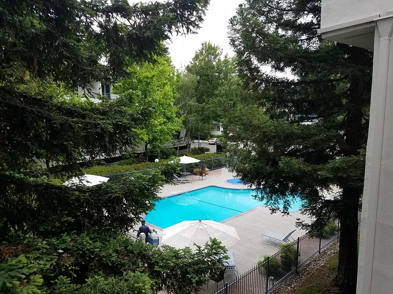 view from balcony