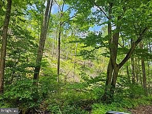 2nd image of Tiger Valley Rd