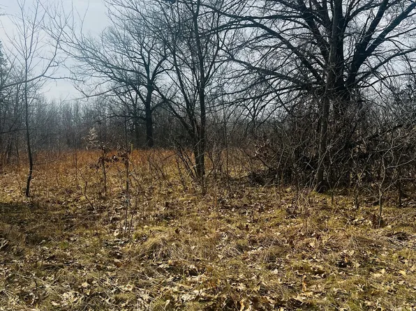 2240 S 15000e Rd Lot 36, Pembroke Township, IL 60958