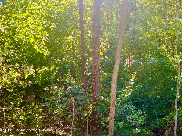 Milwaukee Ave, Old Forge, PA 18518