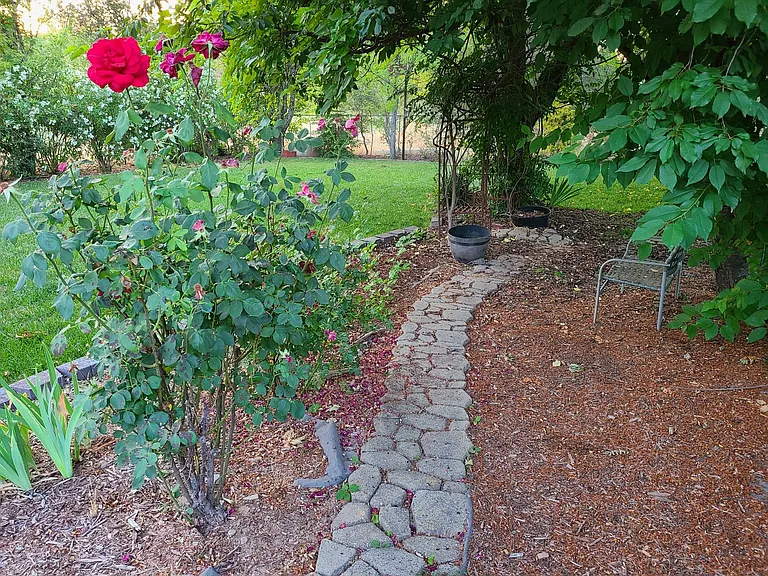 6658 Laird Rd — Photo 31