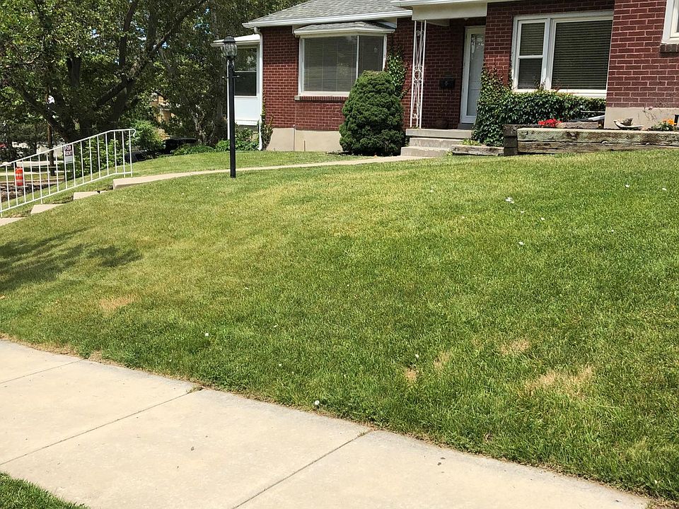 2nd image of 1307 E Wilson Ave