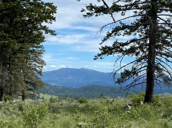 38 One Sky View Dr, Tonasket, WA 98855