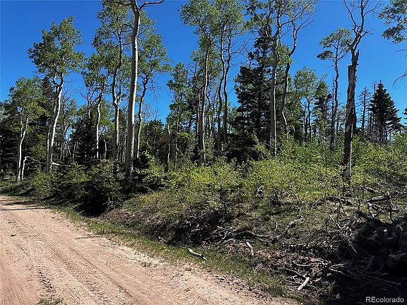2nd image of 2506 Petito Drive LOT 2506