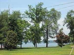 waterview from the home