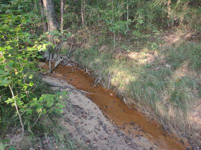 0 Butler Hwy, Junction City, GA, 31812