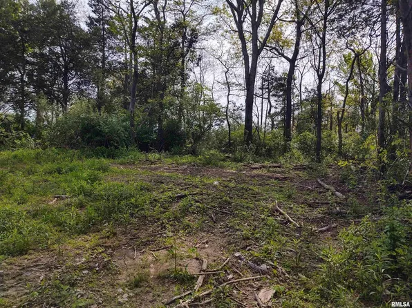 808 Chapman Ln, Goreville, IL 62939