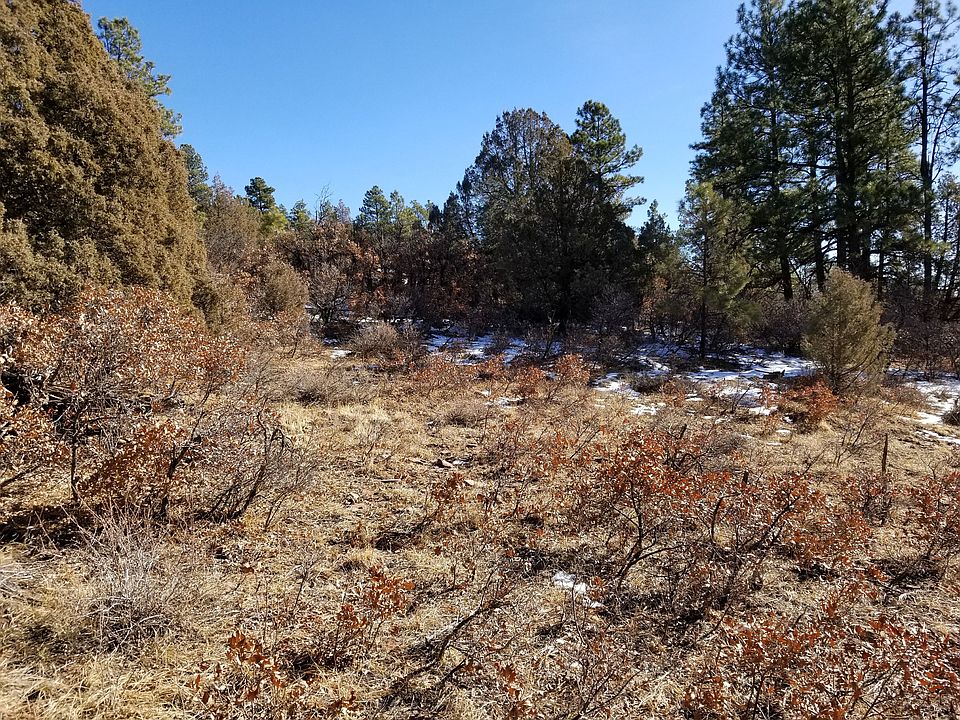 2nd image of 41 Cat Creek Overlook