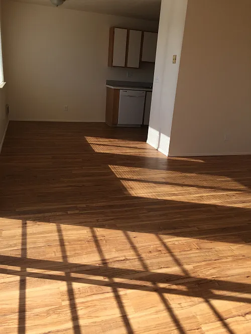 Interior Photo