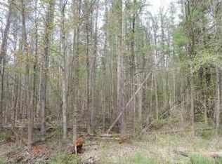 White Lake Rd, Suring, WI 54174