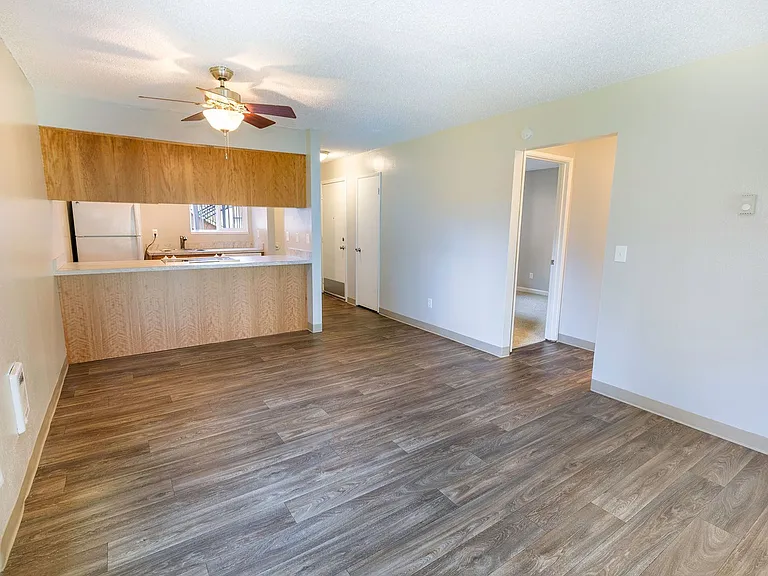 Executive 1801 — Photo 36