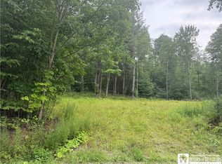 Morgan Hollow Rd Lot 13, Allegany, NY 14706