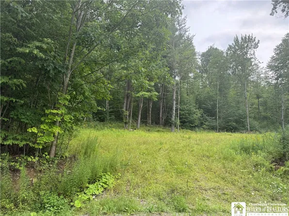 Morgan Hollow Rd Lot 13, Allegany, NY 14706