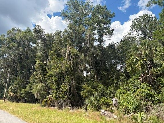 4th image of PINE CABIN ROAD