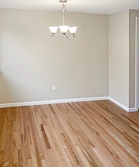 230 Blakeslee St #8 — Photo 8
