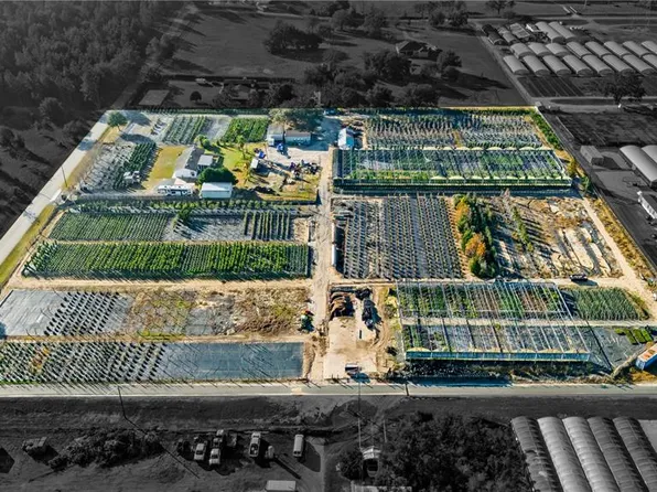 4004 Rex Dr, Winter Garden, FL 34787