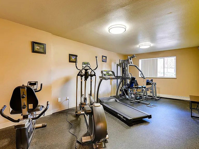 Come Home to Pikes Place on San Miguel — Photo 3