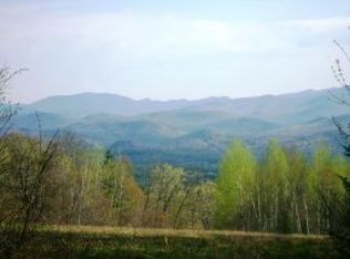 Orchard Street, Campton, NH 03223