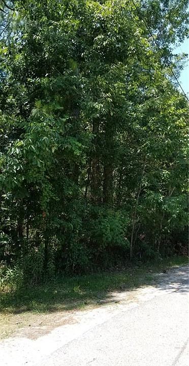 2nd image of 603 General Ledbetter Pl
