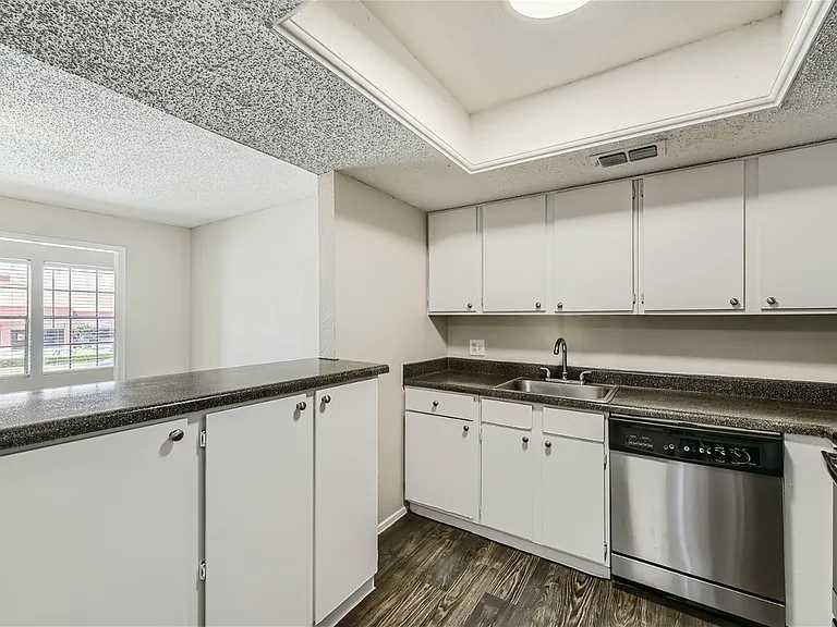 Rise Spring Pointe — Photo 100