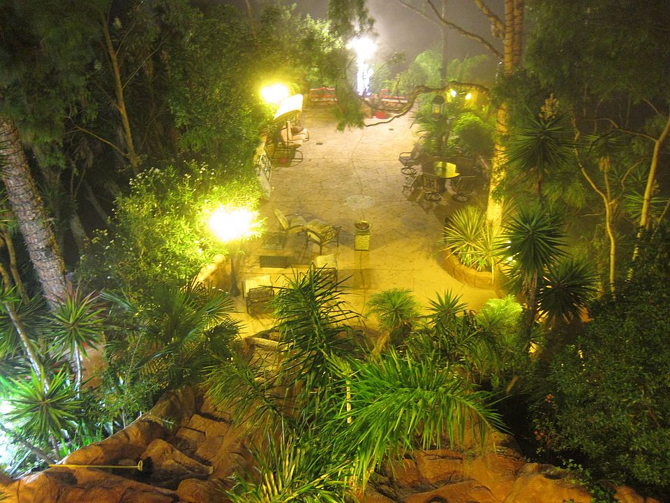 Yards & Gardens