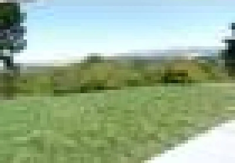 Thumbnail 12