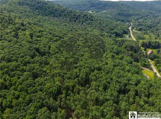 738 Four Mile Rd #4, Allegany, NY 14706