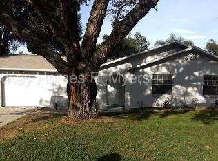 2703 Brandon View Dr, Brandon, FL 33511