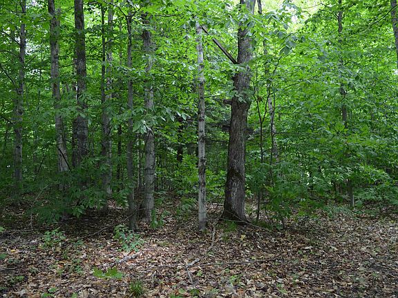 5th image of 4452 County Road 571 NE Lot A