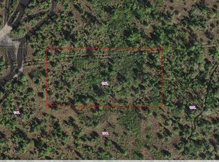 Holopaw Groves Rd #1, Saint Cloud, FL 34773