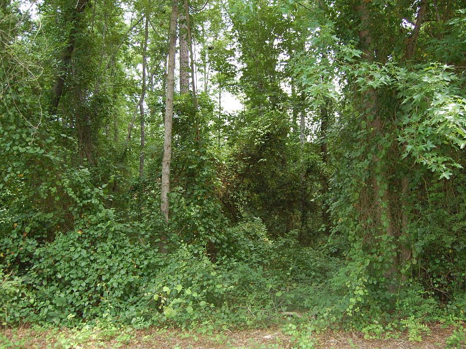 1st image of 809 Elderberry Dr