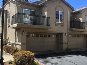 3301 N Park Dr