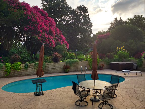 Patio and Pool