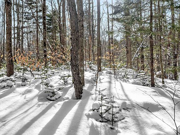 2nd image of 1984 West Hill Road #2