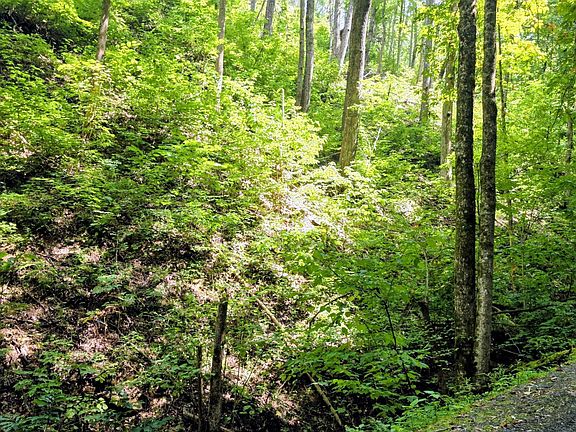 3rd image of LOT 15 Emerald Springs Loop