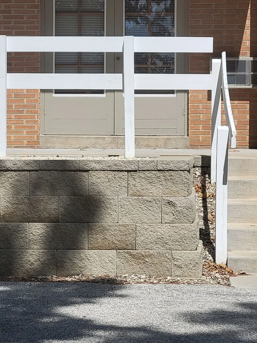 Mulberry — Photo 1