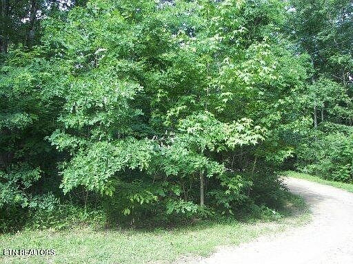 1st image of 30 Butternut Ln Lot 30