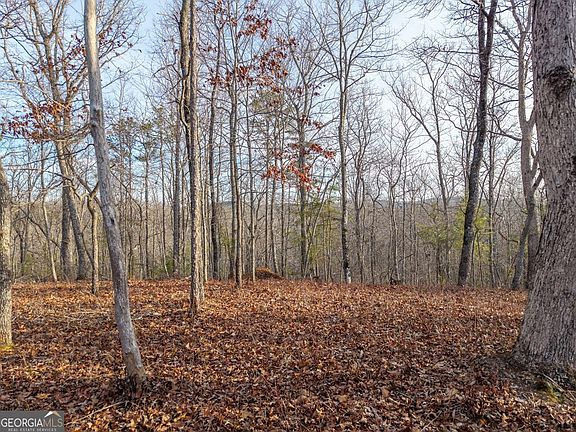 4th image of Lts 156 & 157 Harris Creek Dr