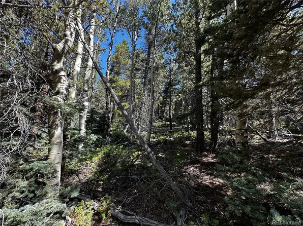 3241 Zipf Lane LOT 3241, Fort Garland, CO 81133