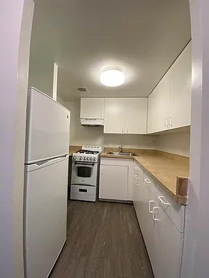 Rented by Voro NYC | media 6