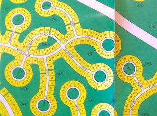 49 Matricaria Ct, Homosassa, FL 34446