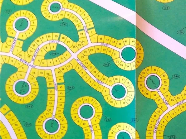 49 Matricaria Ct, Homosassa, FL 34446