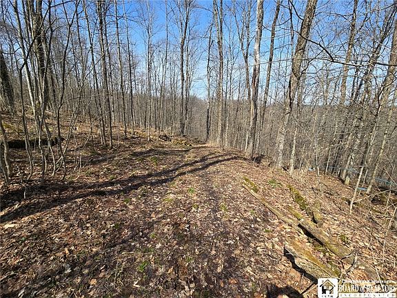 3rd image of 0 W Cobb Rd
