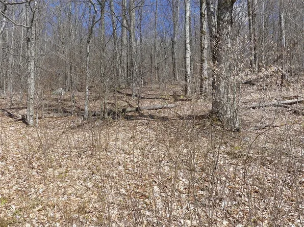 11.2 Alpine Dr, Andes, NY 13731