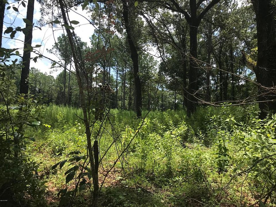 2nd image of 7853 Weddington Rd