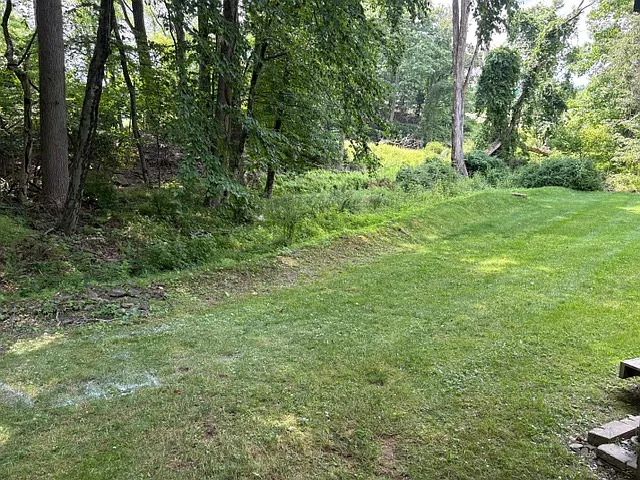 238 Evergreen Ct — Photo 30