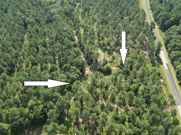 0 Addidas St Lot 17, Eutawville, SC 29048