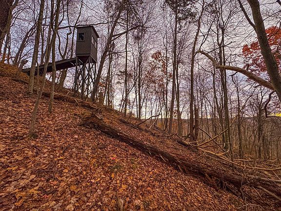 29th image of this home