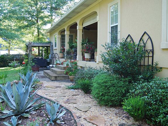 Back Pathway
